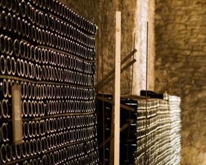 101196994-Asti cellar