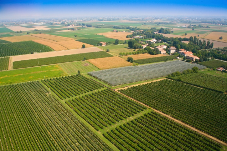 Agriculture in Emilia Romagna